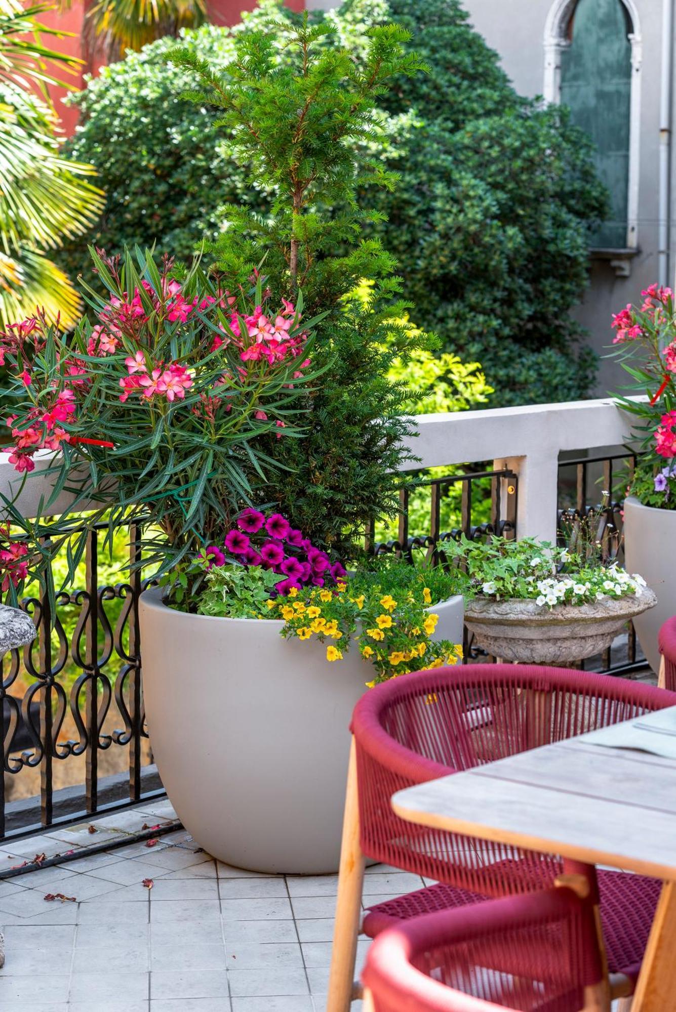 Apartamento San Barnaba Palace R&r Venecia